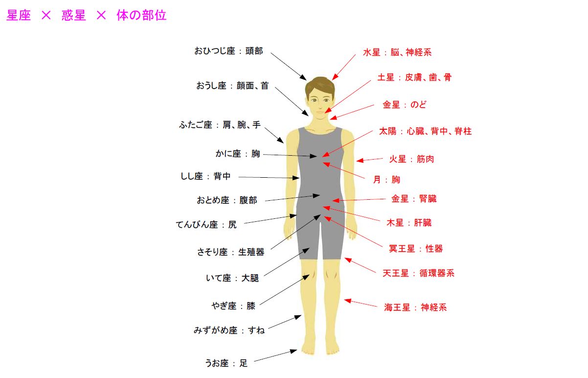 無料ダウンロード 体 名前 部位 293739人間 体 部位 名前